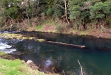 Upper flume bridge pier footing visible in the Ohinemuri River. 2006.